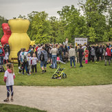 Prima run 2019